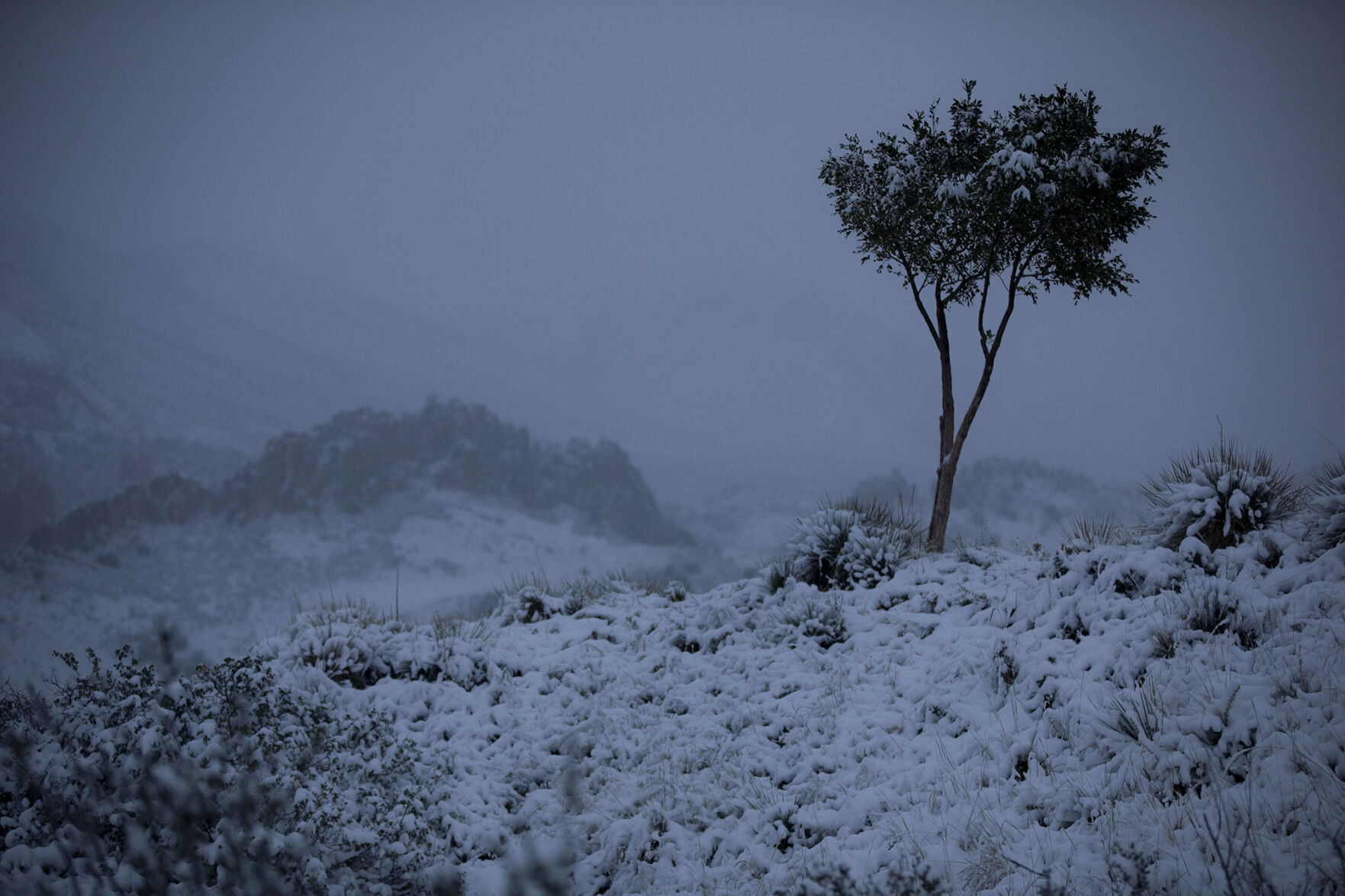 090920-news-earlysnow 13.jpg